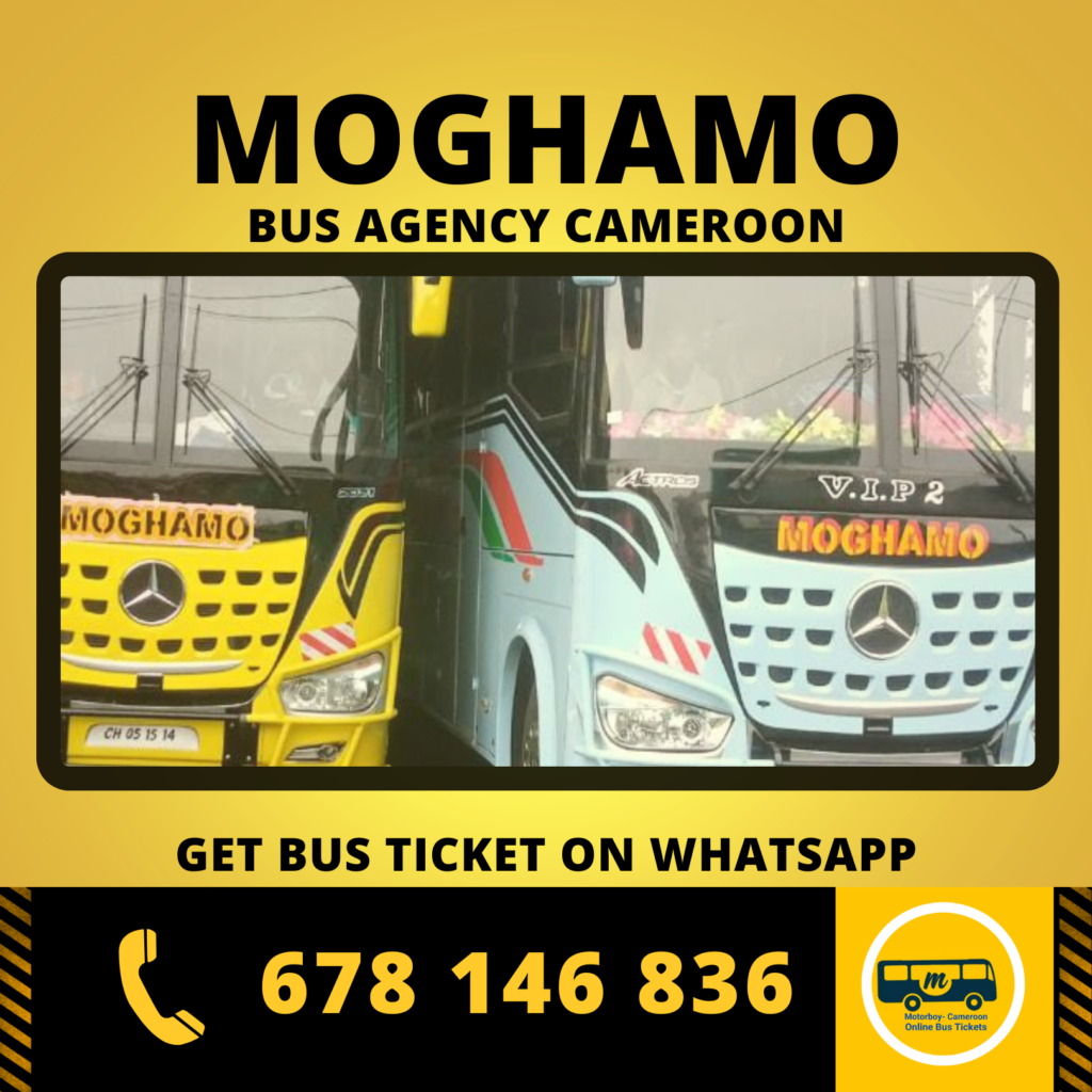 Moghamo Express Bus Service Cameroon